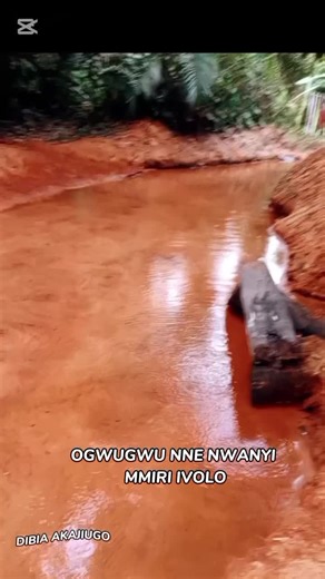 #fyp #duet #tiktok #viralvideos #viralpost #levelup #tik_tok #like #foryou #foryoupage #fy #trending #spirituality #Dibia #fyp #fyp #fypp #fyp #fypdong