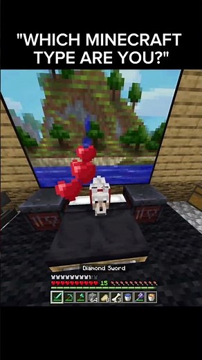 Minecraft Types of Players (Which One Are You?)