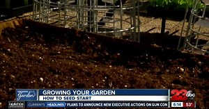 Growing Your Garden: How to plant seeds to sprout