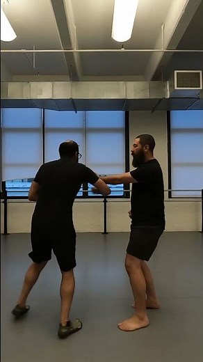 Understanding Isshinryu Kata Applications - Sunsu and Naihanchi