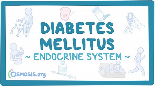 Endocrine system: Diabetes mellitus: Video, Causes, & Meaning | Osmosis