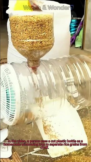 DIY Rice Winnowing: Separate Grain from Chaff with a Homemade Tool