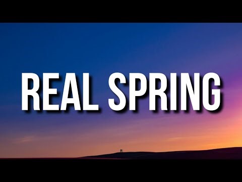 Skrillex & Bladee - Real Spring (Lyrics)