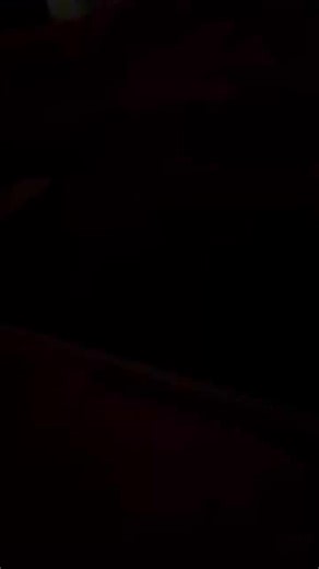 While I was putting my last gifts under the tree and getting ready to settle in for the evening we heard an alert tone go out over the radio. This is what followed. Glad I got my phone out and was able to catch it. Well done Carroll County. This is a voice we hear often on the radio and while we believe we know his name we will keep it a secret in case he doesn’t want it aired out. Merry Christmas to that dispatcher and all of Carroll County. Have a Blessed Day (Sorry if the Quality isn’t the be