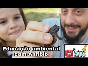 Rhinella, environmental education with Amphibians.