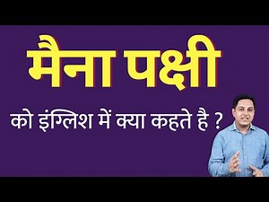 मैना पक्षी को इंग्लिश में क्या कहते हैं ? myna bird ko English mein kya kahate hain | Spoken English