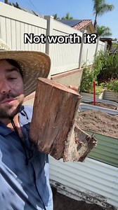 #raisedbed #gardening is great but it can be expensive My hot take is that adding logs is a short term saving w#foryou #foryoupage #fypシ #fyp #reels #reelsviral #reelsfb #garden #nature #flowers #gardening #plants #flowe | Weird and Wonderful Sharing