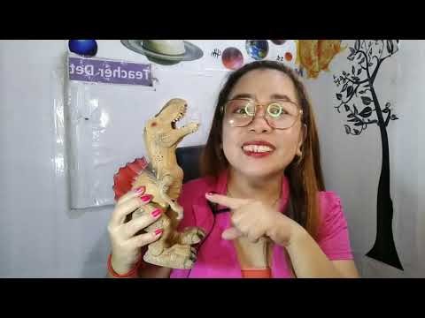 Bernadette Camo Novakid Introduction video