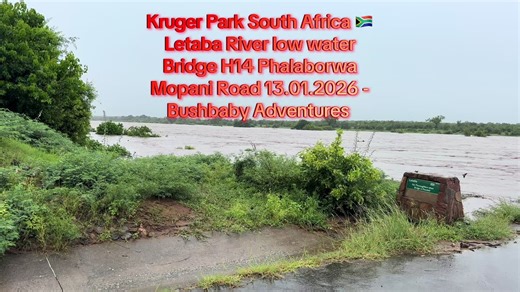 Bushbaby Adventures (@bushbabyadventures)’s videos with original sound - Bushbaby Adventures