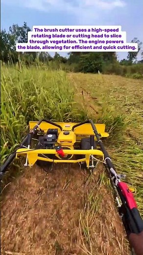 Brush Cutter: Efficiency, Pros & Cons, and Impact on Productivity