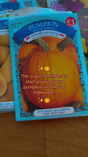 I know it’s summer, but my heart is in fall and so is my garden 😎🎃🍂🍁 #halloween #fall #autumn #pumpkin #fallgarden