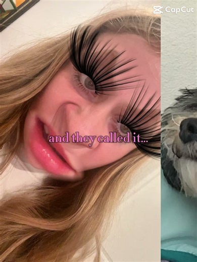 MY DOGS FINALLY COMEING HOME AFTER 2 YEARSSSSS!!!!