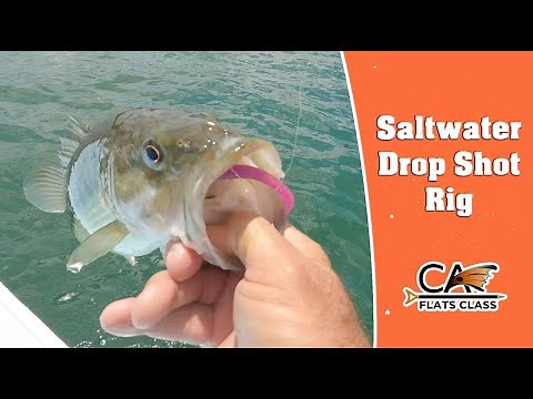 Saltwater Drop Shot Rig - Flats Class