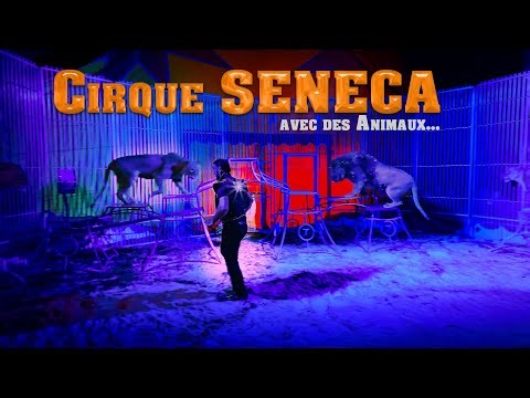CIRQUE SENECA : Lions, Hula hoop, Clown, Jonglage et des dizaines d'animaux de cirque.