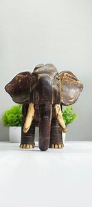🥥Create an 🐘ELEPHANT from a Coconut Shell! #coconutshellflower #coconutshellcraft #shorts #QuickCrafts #EcoFriendlyArt #diycrafts #coconutshellartandcraft #diycoconutshellflower #coconutshellflowermaking #EcoFriendlyCrafts | Master Ideas