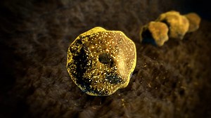 1.3M views · 33K reactions | A stunning find in a tunnel underneath the ancient city of Teotihuacan, Mexico, connects the Aztec calendar with the mysteries of the cosmos. | Ancient Aliens | Facebook