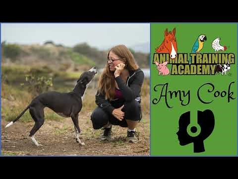 [Episode 134] Amy Cook, PhD - 'The Play Way'