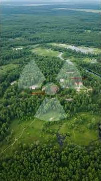 Chernobyl's Exclusion Zone Is Now Full of Wildlife 🐺 #ChernobylWildlife #ChernobylExclusionZone