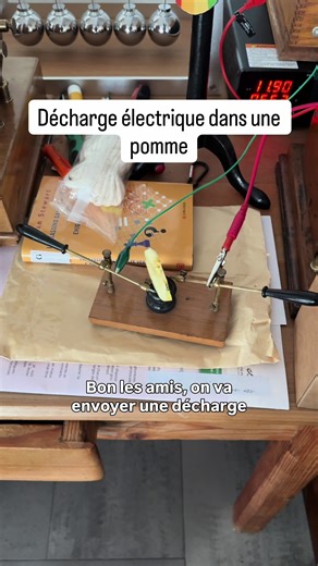 Démonstration du petit excitateur universel (j’en ai un grand aussi, ce sera pour la prochaine fois). C’était une démo classique de la physique aux XIXe et XXe siècles. L’excitateur a deux cents ans. Salukes #science #physique #profbucella #lasciencepeuttout