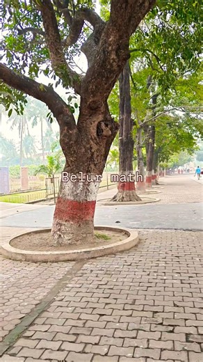 Belur math mini vlog. #travel #kolkata #belurmath #winter #tourism
