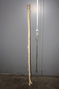 Multipurpose Walking Staff (Monopod for Cameras)