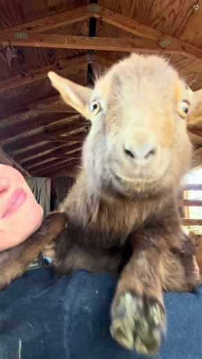 Friend applications needed for anyone who fits this aesthetic 🤣 playing in poop all day but let’s go get our nails/hair done & 7brew