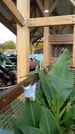 2.5K views · 39 reactions | Le train de la mine  au pays des dinosaures et des squelettes et citrouilles  | Gaëlle avec 2 ailes | Facebook