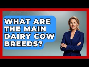 What Are The Main Dairy Cow Breeds? - The Wild Life Explorer