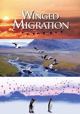 Winged Migration