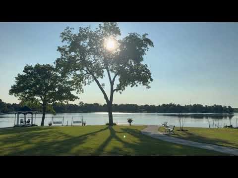 Guided Meditation for Neuroplasticity — Rewire Your Mind with Calm