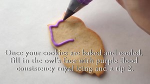 Amazing Owl Cookies https://www.facebook.com/TheWebChefForum | The Webchef