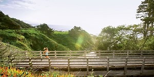 Rave Run: Cape Cove, Oregon