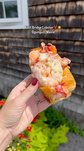 199K views · 702 reactions | While in Maine, we had the most amazing lobster rolls at Foot Bridge Lobster.咽☀️ Located in Perkins Cove in Ogunquit, Maine. #visitmaine #ogunquit #foodie #ogunquitmaine #travel #newengland #beachvibes | Pixiedustedfun | Facebook