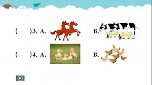 小四英语04-29 第二节 Unit4复习3