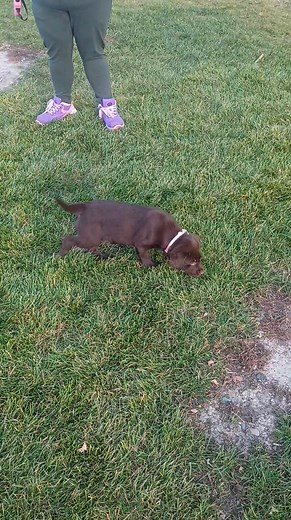 These 2 out enjoying the weather why it's nice | Matt Anderson