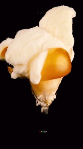 How popcorn pops in slow motion and macro #urday #macro #satisfy #closeup