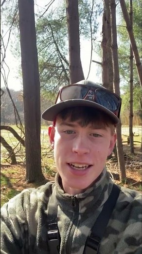 Pulling down a tree with the Maasdam rope puller