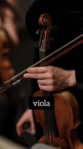 Which string instrument is your favorite?