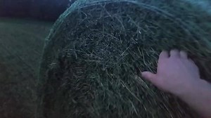 48K views · 62 shares | Baling alfalfa at dusk with 2 balers trying to get everything baled up at peak condition and before it rains. Wish this video had a smell feature!! #BALE | Peterson Farm Bros | Facebook