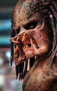 The Predator Phone Wallpapers