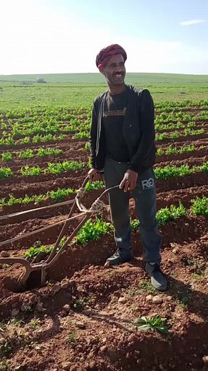 Fayçal Fayçal sur TikTok