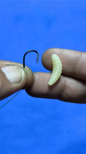 This is an easy way to install bait #shorts #fishing