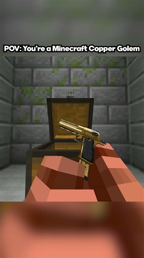 POV: You're a Minecraft Copper Golem