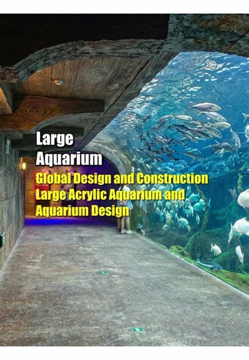 Immersive Reveal! The Complete Record of Designing and Building a Mega Aquarium🏗️🌊 From blueprints to deep-sea wonders—how did we bring the ocean to the city? Installing acrylic viewing panels, fine-tuning life support systems, simulating wave pools... Every drop of seawater embodies the fusion of technology and artistry! China's premier team overcomes structural challenges of ultra-deep diving pools, crafting a living ocean theater🐋 Follow the camera to the front lines and witness miracles u