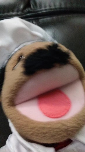 Cheff puppet on TikTok
