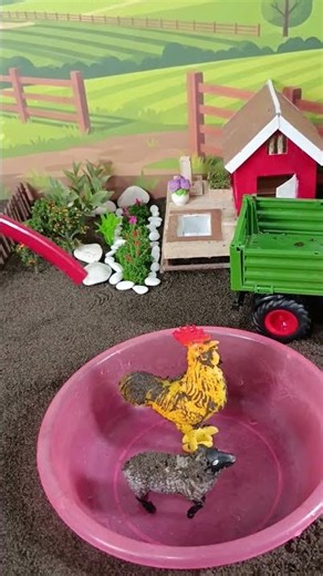 Black Sheep & Chicken Bath Time! 🐑🐔 Satisfying Scrub - DIY Mini Farm