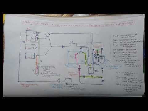 NEUROCIRCUIT of PARKINSON'S DISEASE and the FORMULA OF CURRENT IN NEURAL CHEMICAL MICRONEUROBATTERY
