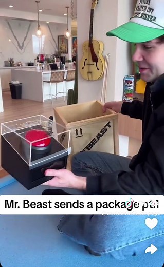 MrBeast Sends David Dobrik a Mystery Package!