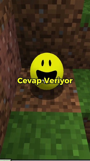 Which is the REAL Verity Mod in Minecraft?!😱🔥 #minecraft #minecraftshorts