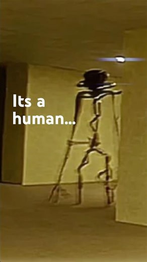 Are The Entities Humans In The Backrooms? (Theory)